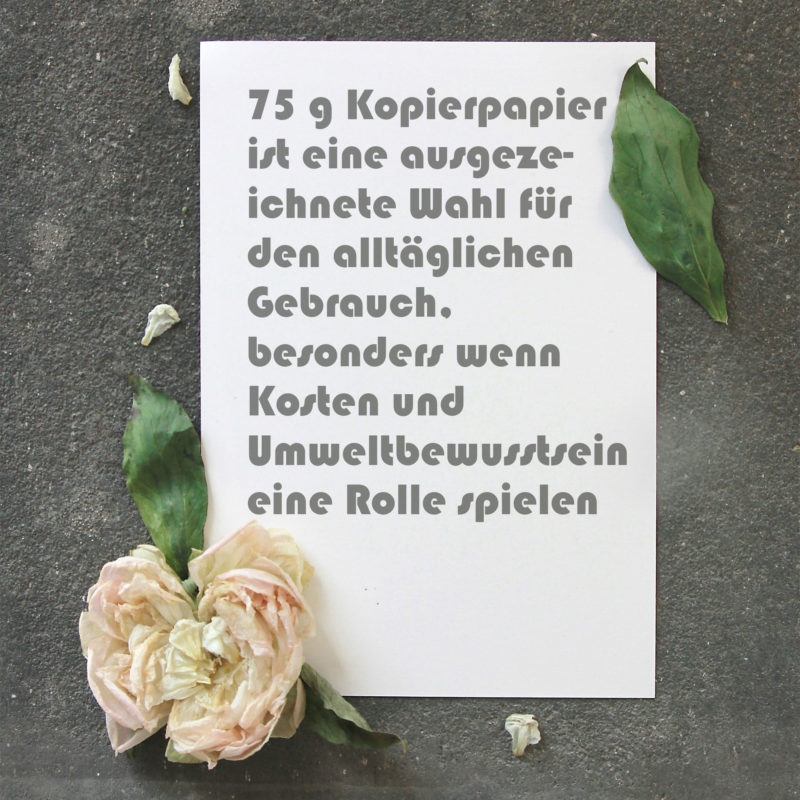 75 g Kopierpapier