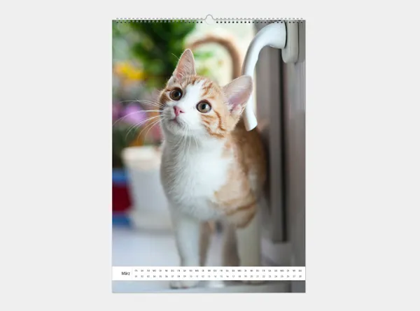 hoch Wandkalender A2 hoch mit Foto online gestalten und bestellen