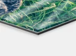 Acrylglas Foto auf Alu-Dibond mit Acryl-Glas