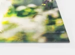 Acrylglas Foto hinter Acryl-Glas