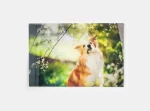 Acrylglas Foto hinter Acryl-Glas