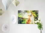 Acrylglas Foto hinter Acryl-Glas