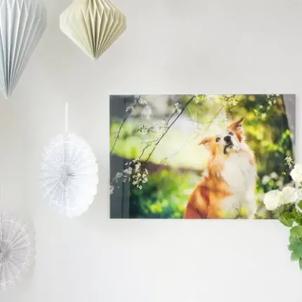 Acrylglas Foto hinter Acryl-Glas