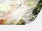 Acrylglas Foto hinter Acryl-Glas