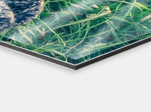acrylbilder-aludibond-detail-1780x1320_d1_3_2 Foto auf Alu-Dibond mit Acryl-Glas