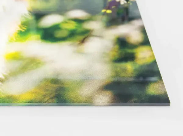 acrylglas-wandbild-direktdruck-querformat-jetzt-bestellen-d1_1_3_3 Foto hinter Acryl-Glas