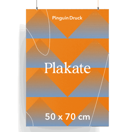 Poster Druck 50 Stück  50x70 einseitig