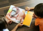 Ruck-Zuck Fotobuch A4 hoch günstig erstellen